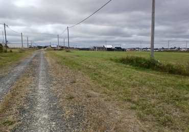 Vendo lote en tierra alta 3 
